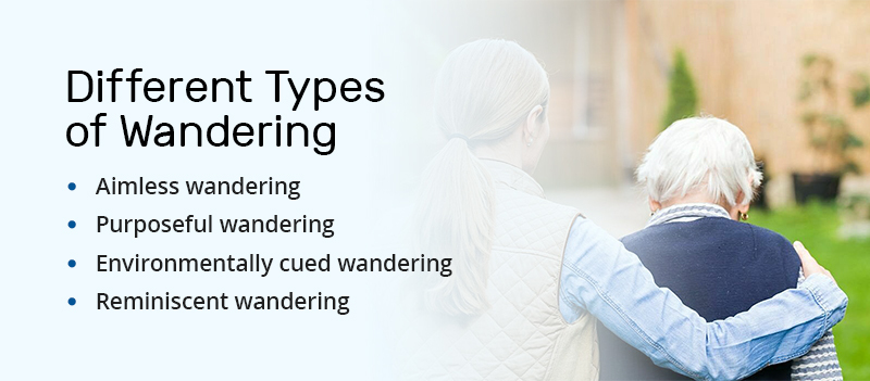 Different types of patient wandering